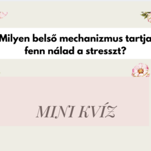 Belső stresszor mini kvíz